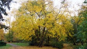 Egzotyczny park w Kobylnikach - zdjęcie 38