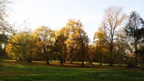 Egzotyczny park w Kobylnikach - zdjęcie 43