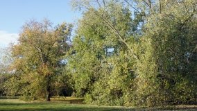 Egzotyczny park w Kobylnikach - zdjęcie 42