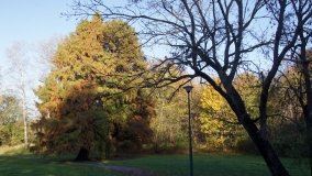 Egzotyczny park w Kobylnikach - zdjęcie 35