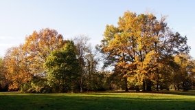 Egzotyczny park w Kobylnikach - zdjęcie 32