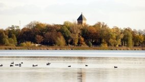 Egzotyczny park w Kobylnikach - zdjęcie 31