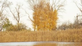 Egzotyczny park w Kobylnikach - zdjęcie 28