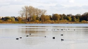 Egzotyczny park w Kobylnikach - zdjęcie 26