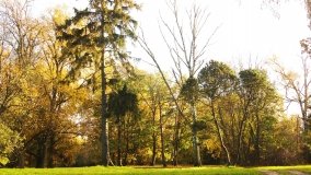 Egzotyczny park w Kobylnikach - zdjęcie 24