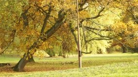 Egzotyczny park w Kobylnikach - zdjęcie 23