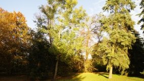 Egzotyczny park w Kobylnikach - zdjęcie 22