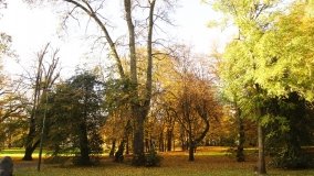 Egzotyczny park w Kobylnikach - zdjęcie 19