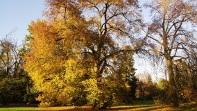 Egzotyczny park w Kobylnikach - zdjęcie 17