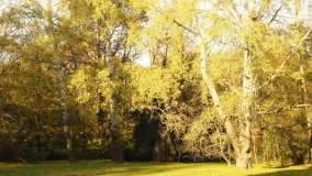 Egzotyczny park w Kobylnikach - zdjęcie 15