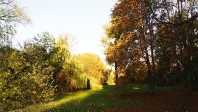 Egzotyczny park w Kobylnikach - zdjęcie 16