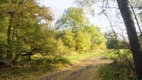 Egzotyczny park w Kobylnikach - zdjęcie 13