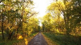 Egzotyczny park w Kobylnikach - zdjęcie 11