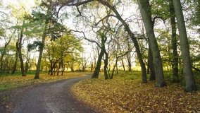 Egzotyczny park w Kobylnikach - zdjęcie 12