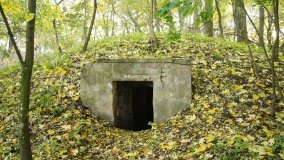 Egzotyczny park w Kobylnikach - zdjęcie 10