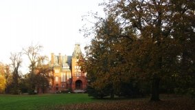 Egzotyczny park w Kobylnikach - zdjęcie 7