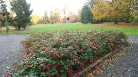 Egzotyczny park w Kobylnikach - zdjęcie 5