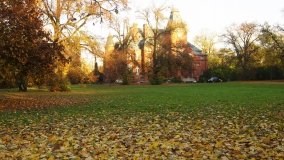 Egzotyczny park w Kobylnikach - zdjęcie 3