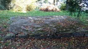 Strzelce – drewniany kościół w pobliżu Jeziora Pakoskiego - zdjęcie 7