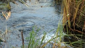 Zabytkowy most kolejowy w Kunowie - zdjęcie 2