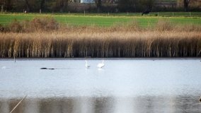 Zabytkowy most kolejowy w Kunowie - zdjęcie 7