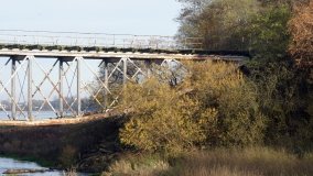 Zabytkowy most kolejowy w Kunowie - zdjęcie 10