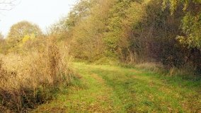 Zabytkowy most kolejowy w Kunowie - zdjęcie 13