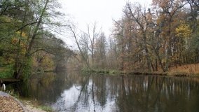 Łazienki Obornickie – unikatowe miejsce nad Wełną - zdjęcie 10