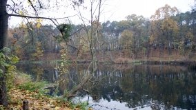 Łazienki Obornickie – unikatowe miejsce nad Wełną - zdjęcie 18