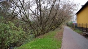 Łazienki Obornickie – unikatowe miejsce nad Wełną - zdjęcie 22