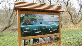 Łazienki Obornickie – unikatowe miejsce nad Wełną - zdjęcie 23