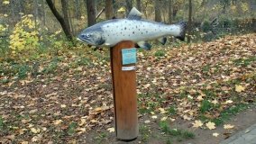 Łazienki Obornickie – unikatowe miejsce nad Wełną - zdjęcie 24