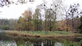 Łazienki Obornickie – unikatowe miejsce nad Wełną - zdjęcie 25