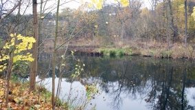 Łazienki Obornickie – unikatowe miejsce nad Wełną - zdjęcie 26