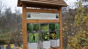 Łazienki Obornickie – unikatowe miejsce nad Wełną - zdjęcie 28