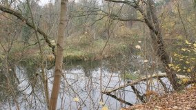 Łazienki Obornickie – unikatowe miejsce nad Wełną - zdjęcie 29