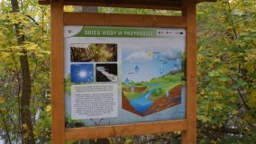 Łazienki Obornickie – unikatowe miejsce nad Wełną - zdjęcie 31