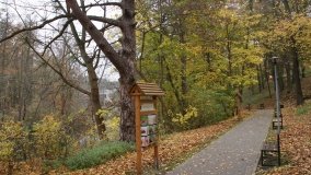 Łazienki Obornickie – unikatowe miejsce nad Wełną - zdjęcie 32