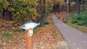 Łazienki Obornickie – unikatowe miejsce nad Wełną - zdjęcie 33