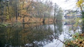 Łazienki Obornickie – unikatowe miejsce nad Wełną - zdjęcie 34