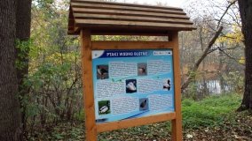 Łazienki Obornickie – unikatowe miejsce nad Wełną - zdjęcie 36