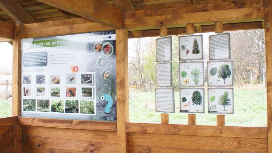 W starym parku nowy duch - zdjęcie 1