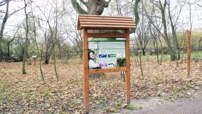 W starym parku nowy duch - zdjęcie 2