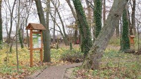 W starym parku nowy duch - zdjęcie 3