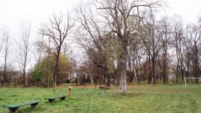 W starym parku nowy duch - zdjęcie 5