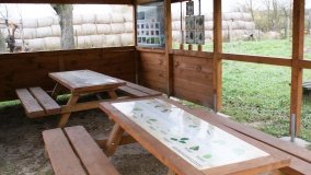 W starym parku nowy duch - zdjęcie 7