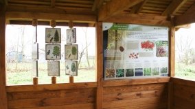 W starym parku nowy duch - zdjęcie 8