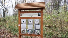 W starym parku nowy duch - zdjęcie 10