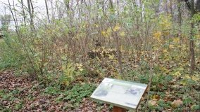 W starym parku nowy duch - zdjęcie 11