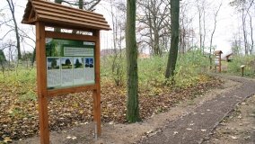 W starym parku nowy duch - zdjęcie 12